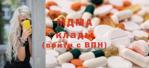 шишки Сосновый Бор