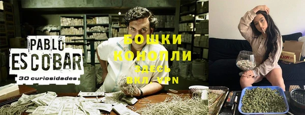 эйфоретик Вязьма