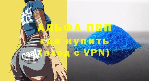 СК Шадринск