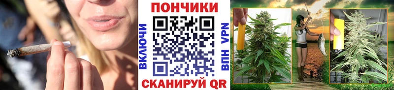 наркота Карабулак Бошки Шишки тримм